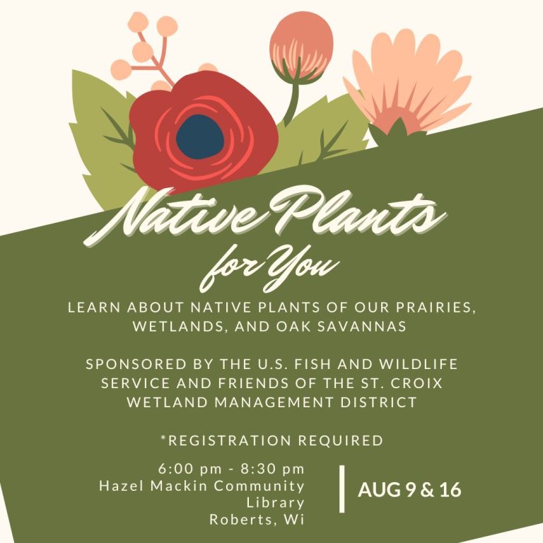 Native Plants Class | Hazel Mackin Community Library